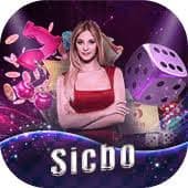 be 2025 sports and casino style categories displayed for adult members